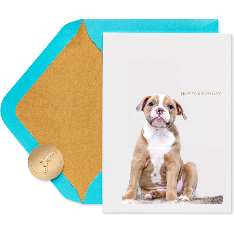 Custom Pet Birthday Cards with Envelope